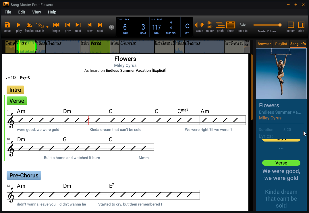 Song Master Pro
